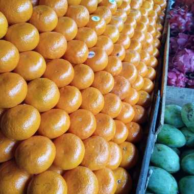 Jeruk Mandarin ½ kg