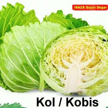KOBIS KOL WHITE CABBAGE Sayur Segar IBAZA fruitsBOX 1 kg