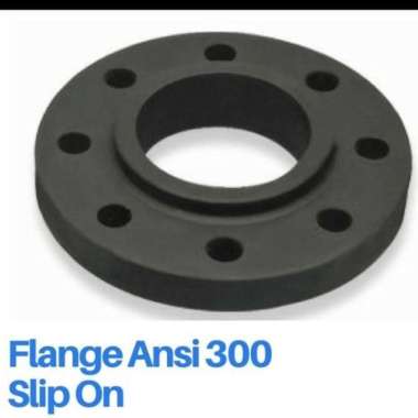 Flange besi ansi 300 2 1/2" inch / Flange carbon steel