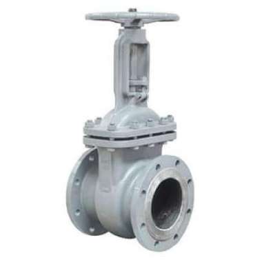 Gate valve WCB flange ansi 150 6" inch