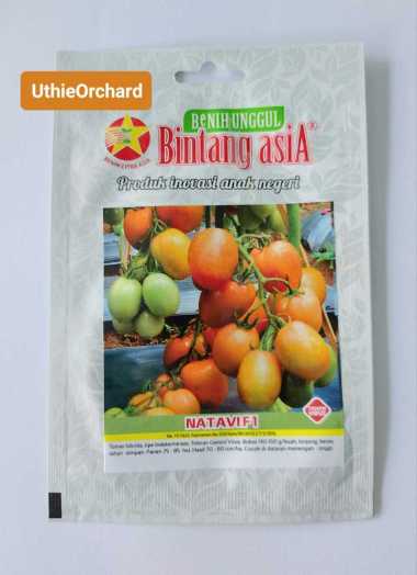 Benih Bintang Asia - Tomat Natavi F1 Kemasan 0.5 gr