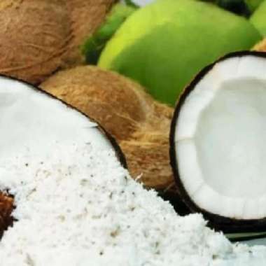 Kelapa Parut Santan Kelapa per Butir