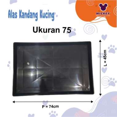Alas Kandang Kucing 50