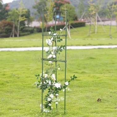 penyangga tanaman / rambatan tanaman anggur Multicolor