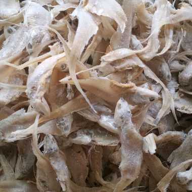 ikan Asin Bulu Ayam Asin 1 Kg Fresh.