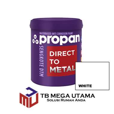 Propan Sengkote White 4 Kg | Cat Anti Karat Seng Metal Galvanis