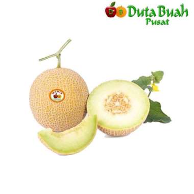 DUTA BUAH MELON ITHANON ( - + 1,5KG -2KG)