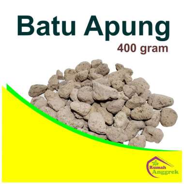 Media Tanam Batu Apung 400 gram bentuk bongkahan bebatuan kaktus sukulen cattleya catleya tanaman hi