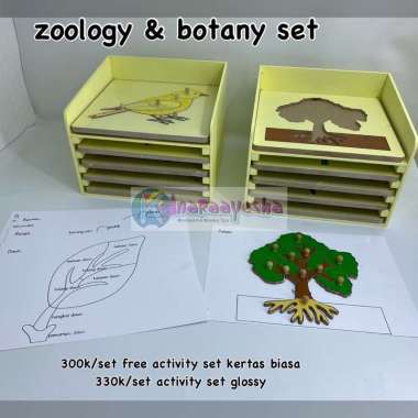 printable geometric solid/ world map / zoology activity set / botany activity set Kura-kura