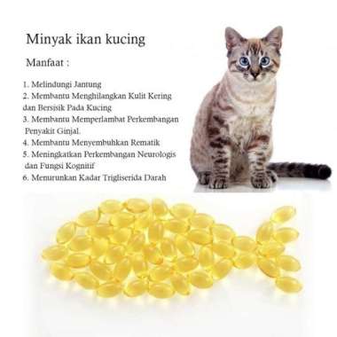Minyak Ikan Kemasan - Vitamin Minyak Ikan Kucing