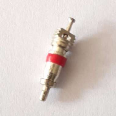 Isi Pentil Ban Tubeless Spuyer