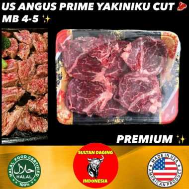 WAGYU STEAK MB 5 CUT 250 GRAM PREMIUM IMPORT DARI USA/ US ANGUS PRIME/ US BLACK ANGUS WAGYU STEAK MB