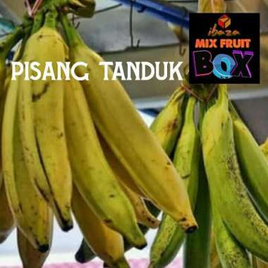 Fruitsbox Buah PISANG TANDUK | harga per sisir