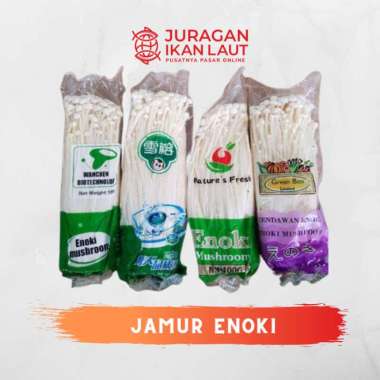 Jamur Enoki / Enoki Mushroom Berkualitas - 1 Pack