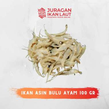 Ikan Asin Bulu Ayam Berkualitas - 100 Gram