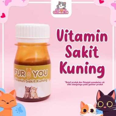 Vitamin untuk Kucing Anabul Sakit Kuning Hepatitis Pucat dan Pemulihan Setelah Sakit
