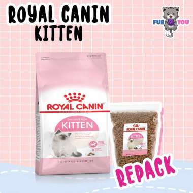 Dryfood Royal Canin Kitten Repack 100 gram