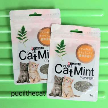 Catmint Catnip Kucing Snack Kucing Cemilan Kucing