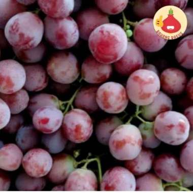 BUAH ANGGUR MERAH/BUAH ANGGUR 500Gram