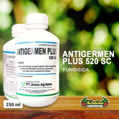 Antigermen Plus 520 SC - Fungisida Bakterisida &amp; Virusida Sistemik Multicolor
