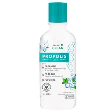 SECRET CLEAN PROPOLIS PEPPERMINT 500ML