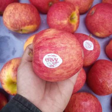 buah apel envy kecil newzeland per 1 kg