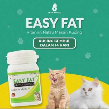 Vitamin Kucing penggemuk gembul Easy Fat ecer per kapsul