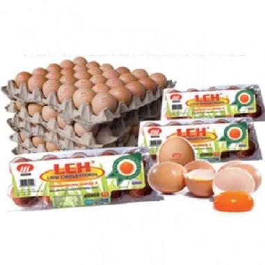 Telur LCH