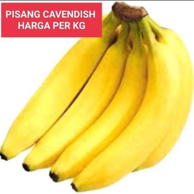 Buah Pisang Cavendish Pisang Ambon Pisang Raja Susu Emas Tanduk Raja : Pisang Cavendis