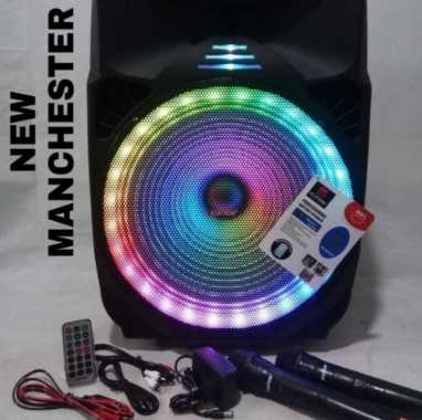 Speaker Portable Wireless ASATRON MANCHESTER 15 inch