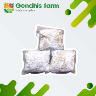 Tempe gembus [3 pcs]