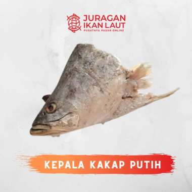 Kepala Ikan Kakap Putih Segar - 1 Kepala JABODETABEK BESAR