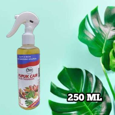 pupuk cair tanaman hias aglonema philo monstera bloom and glow 250 ml Multicolor