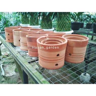 Pot Tanah Liat Bunga Anggrek / Pot Terracotta terakota anggrek besar Multicolor