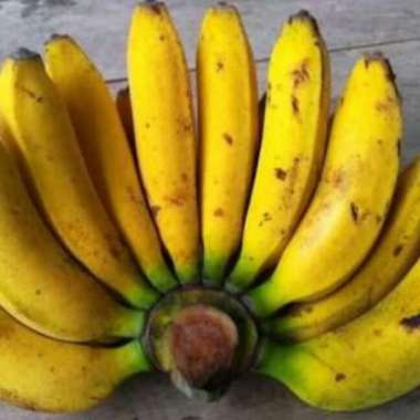 Buah PISANG RAJA ibaza fruitsBOX - COD KOTA SEMARANG harga per sisir