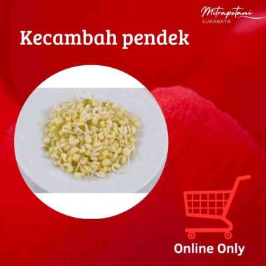 Kecambah pendek, kecambah rawon, kecambah kacang hijau, touge, tauge