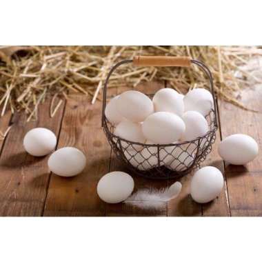 telur ayam kampung / telur ayam omega / only kampung mika