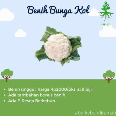 BENIH BUNGA KOL