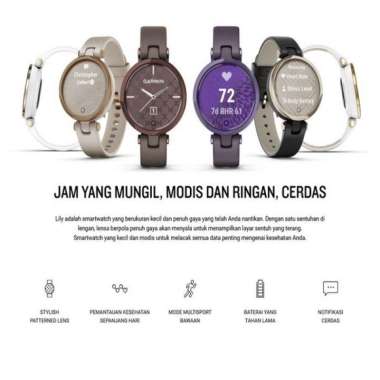 Garmin Lily Classic Smartwatch Smart Watch Garmin White Gold