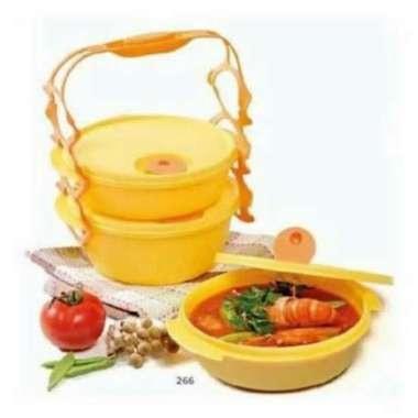 tupperware carry all bowl Multicolor