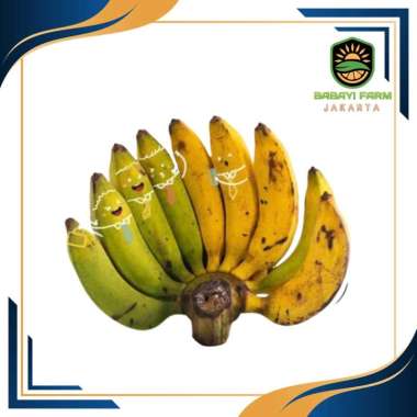 buah pisang ambon raja lampung uli imperfect / grade B per sisir Pisang Lampung