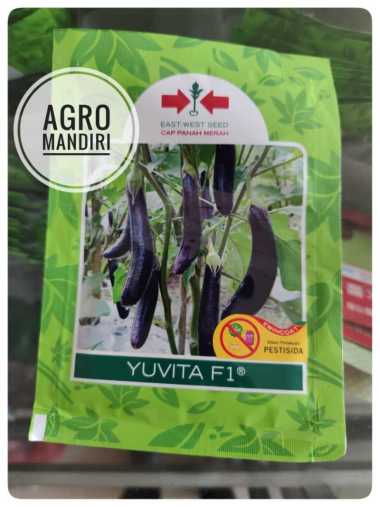 Benih Bibit Terong Ungu Yuvita F1 5 gram Tahan Virus Cap Panah Merah