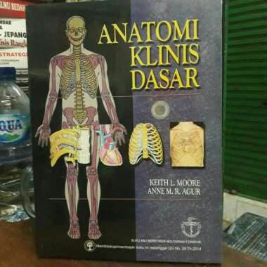 Anatomi Klinis Dasar Karangan Keith L Moore.