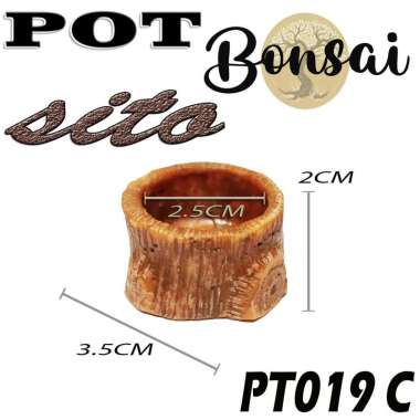 POT BONSAI MAME SITO POT RELIEF TANAMAN SANCANG KIMENG BERINGIN KELAPA POHON HIAS BONSAI KEMUNING PO