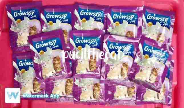 Susu Kucing Growssy Susu Anak Kucing Growsy Susu Kitten Growssy