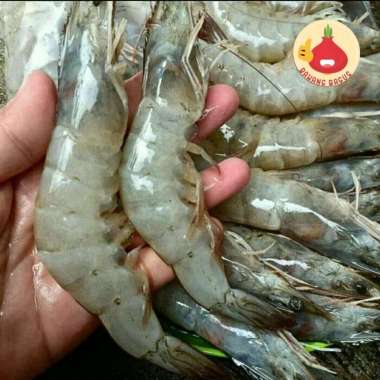 Udang Segar Besar / Udang Super 1kg