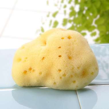 Silk sea sponge from the Mediterranean Sea