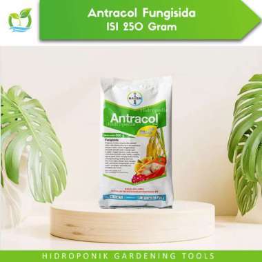 Fungisida Antracol 70WP + Zinc 250 gram Berkualitas Multicolor