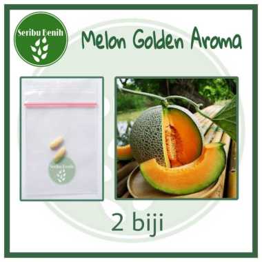 2 Benih Melon Golden Red Aroma - Bibit Tanaman Buah Melon Daging Orange