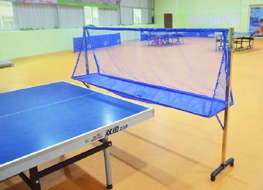 TENIS MEJA PINGPONG BALL TRAP JARING PENAHAN LATIHAN BOLA BANYAK